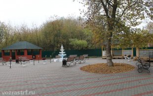 Пансионат GreenDay в Раменском