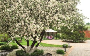 Пансионат «Родник» Королев-Загорянский