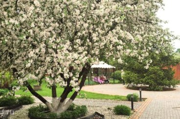 Пансионат «Родник» Королев-Загорянский