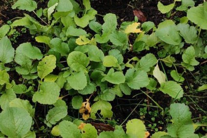 «Дом Жизни» фото 7