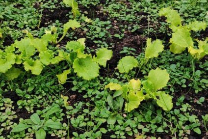 «Дом Жизни» фото 8